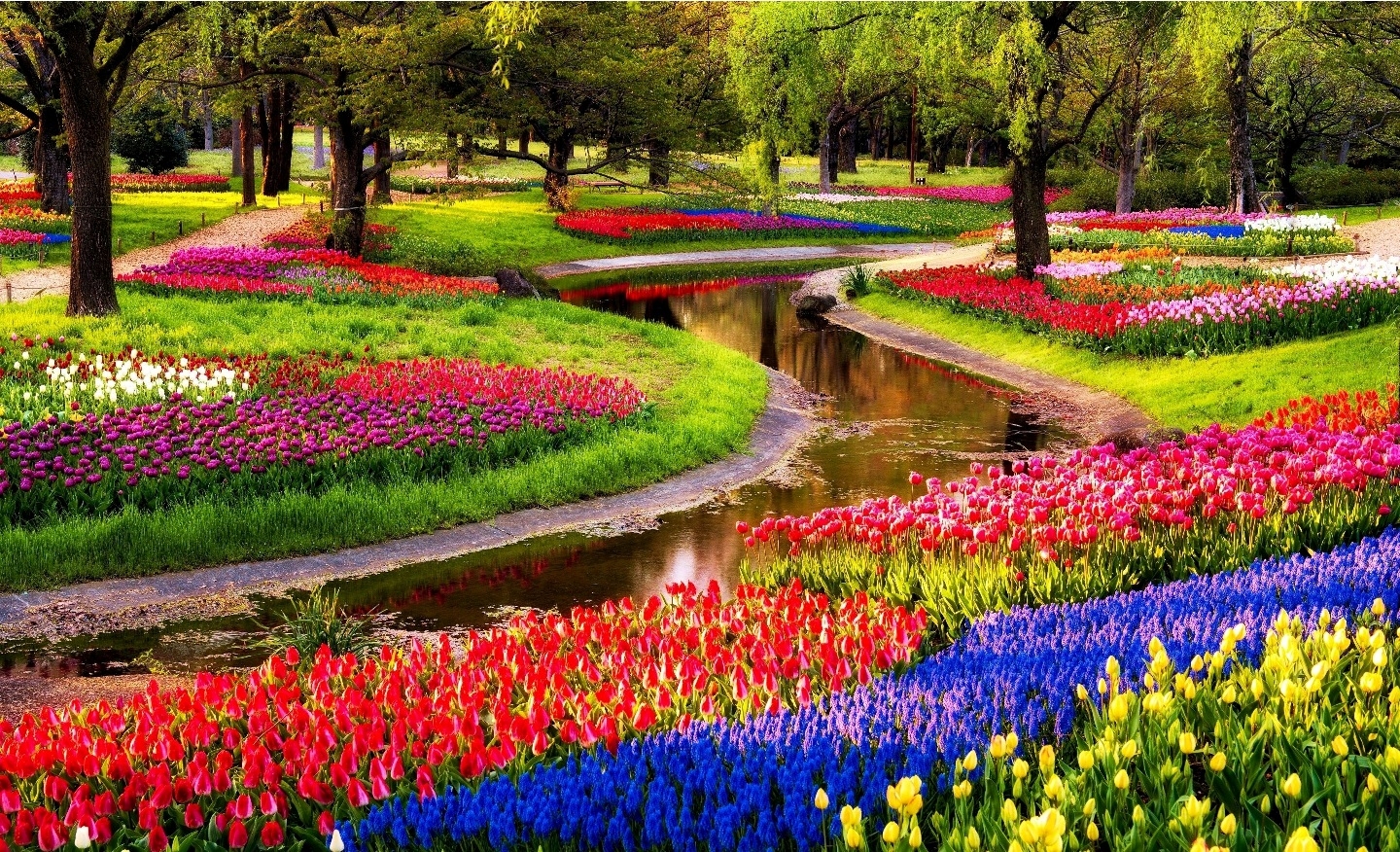 Keukenhof 02 Keukenhof 02