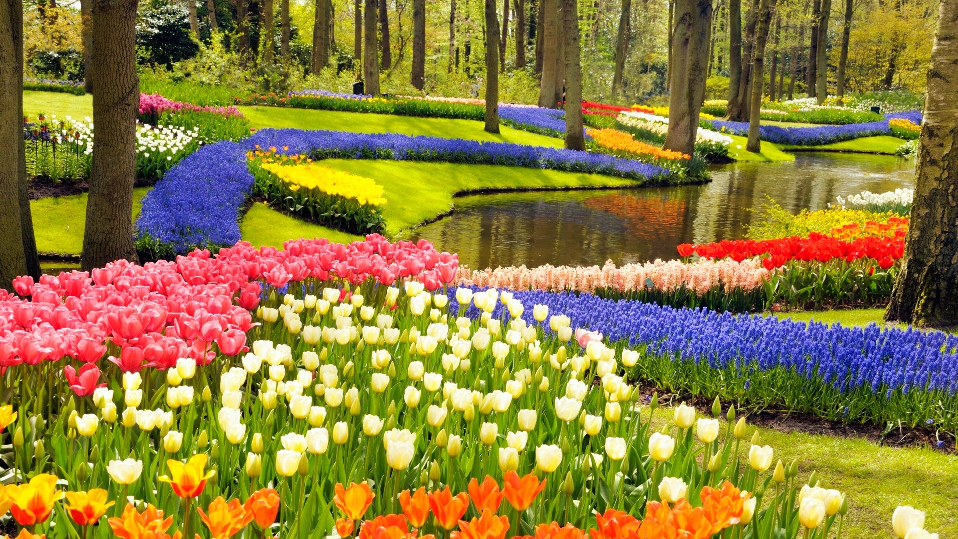 Keukenhof 03 Keukenhof 03