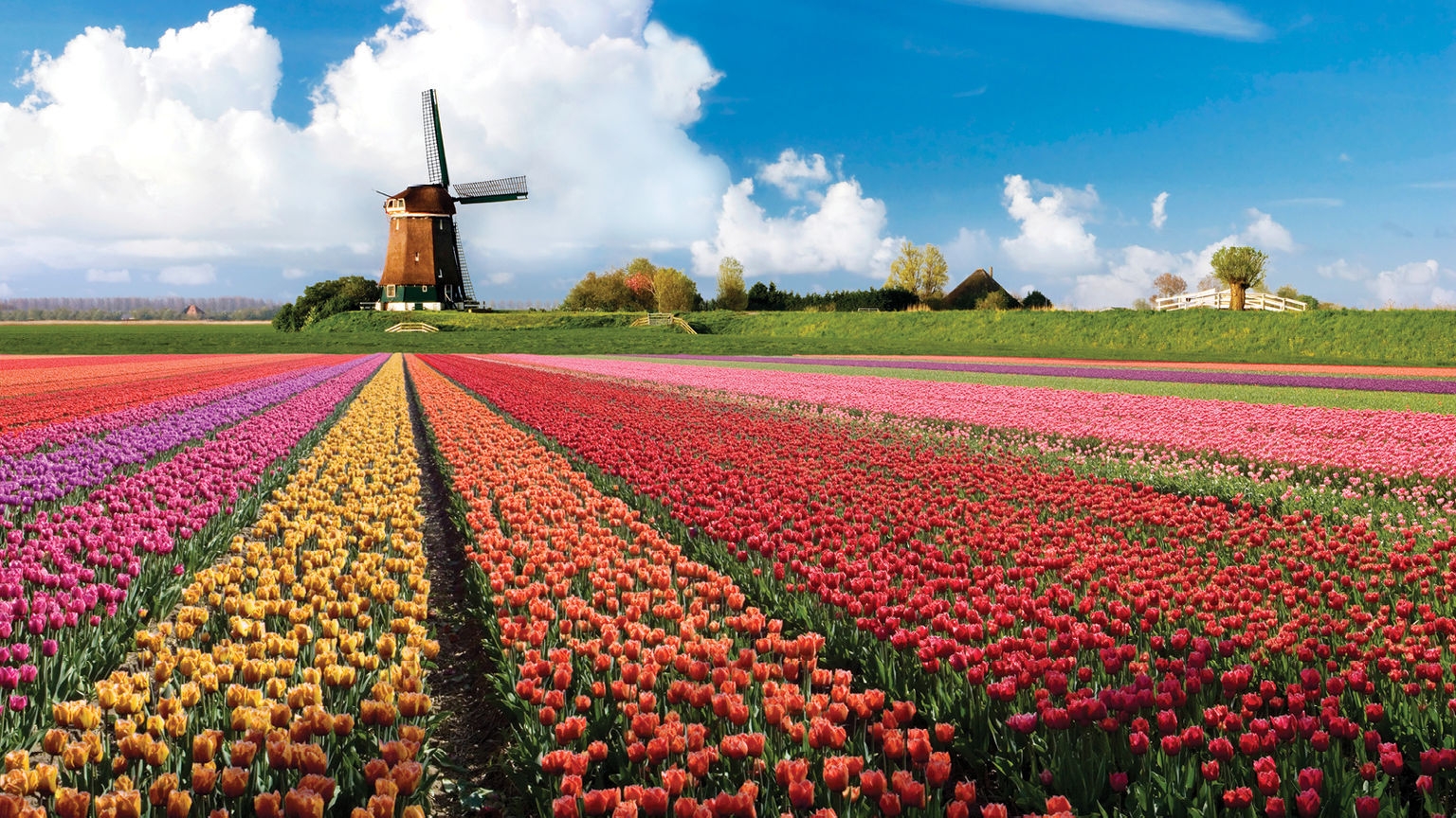 Keukenhof 04 Keukenhof 04