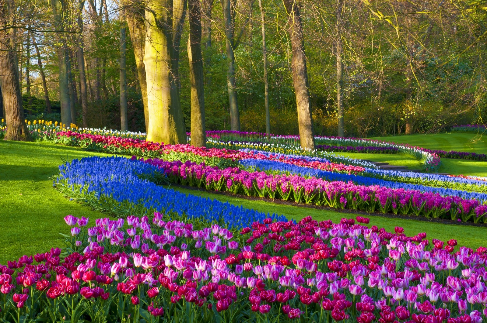 Keukenhof 06 Keukenhof 06