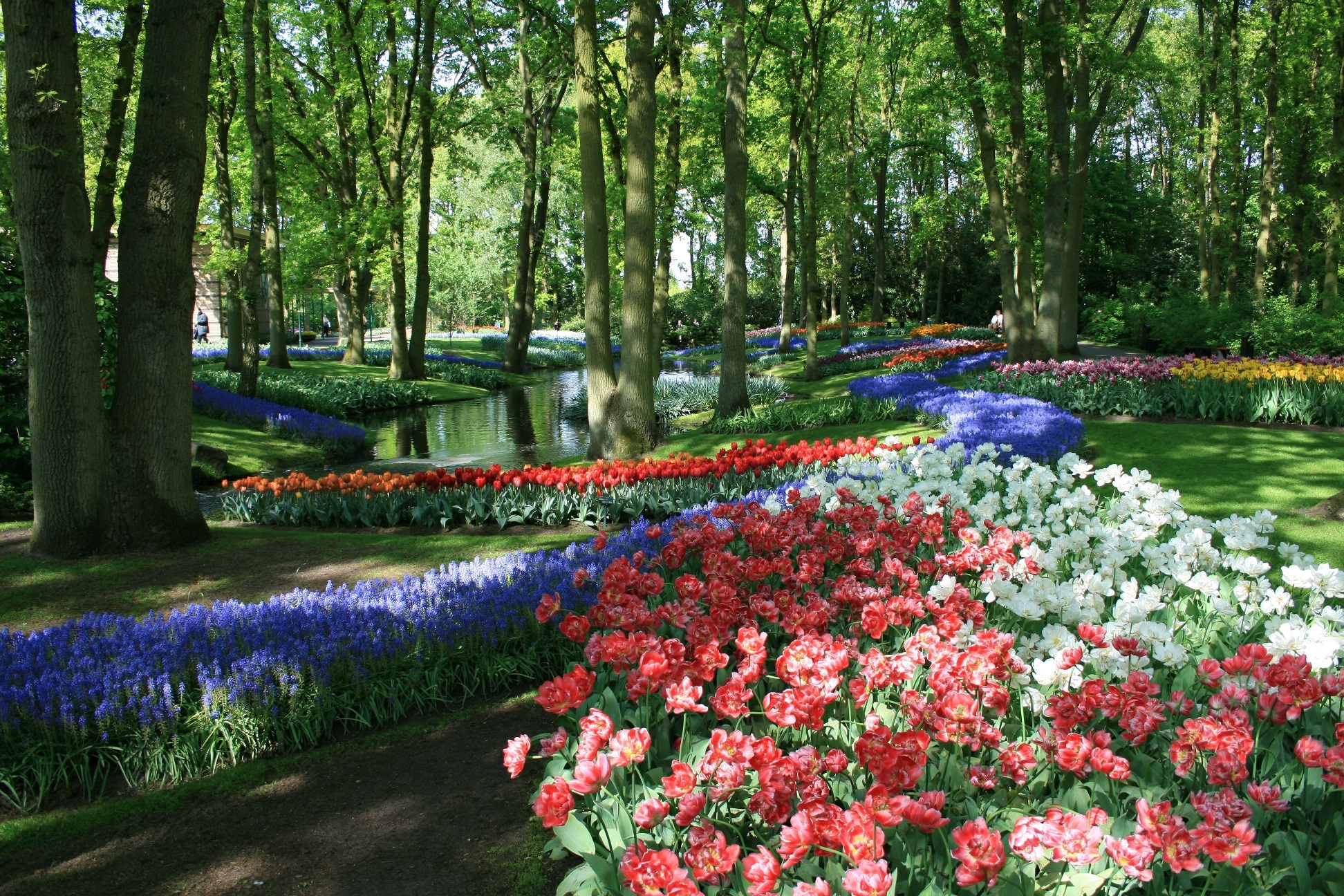 Keukenhof 07 Keukenhof 07